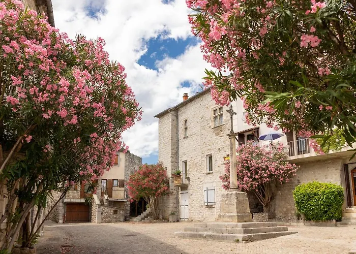 Kamp alanı Rcn La Bastide En Ardeche Sampzon